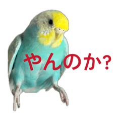 tsukune_20260408214424