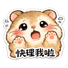 貼貼鼠日常回覆