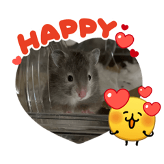 ohagi_20260408221557