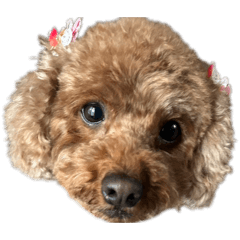 maaaa_20260408215854