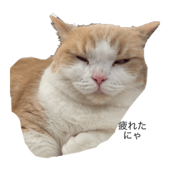 erika_20260408221521