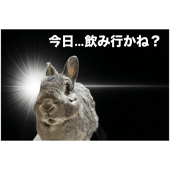 OKIYOSE stamp_20260408222442