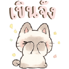 Pastel Siamese Kitty Soft Mood