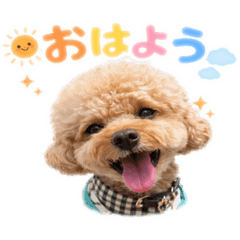 Shinsaku_20260408185824