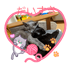 jacchan_20260408185815