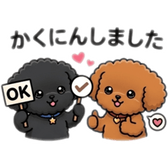 popola_20260408185424