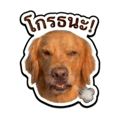 DBlack_20260408133652