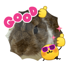 usahiyo1106_20260408153105