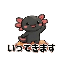 Studiohikappe_20260408153855