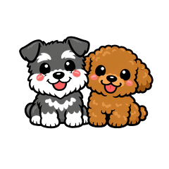 Schnauzer and Toy Poodle Daily Life