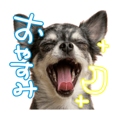 milky_20260408211736