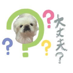 yuisan_20260408214818