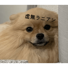 yukipi_20260408223129