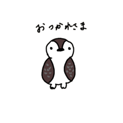 chita_20260408223230