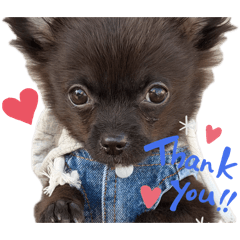 sakibom_20260408222609