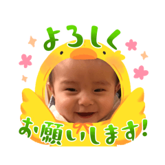 apollo_20260408211514