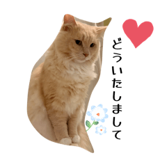 Emily_20260408224100