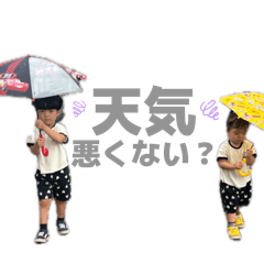 marimo_20260408223538