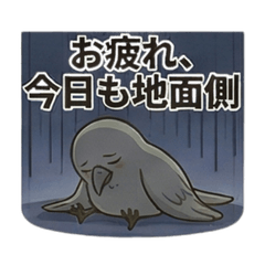 Flightless Bird Grounded Life Stickers