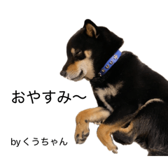 colordiamond_20260409000951