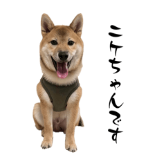 aoi0417_20260409001830