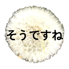 chamiramama_20260409000321