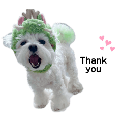 shoko_20260409001921