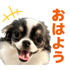 Risa_20260408172540