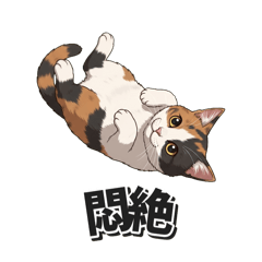 Gag-Loving Calico Cat's Reactions