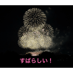 INT_20260408174141