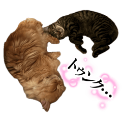 KABOCHA_20260408233055