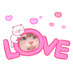 chama_20260409015115