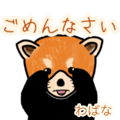 Wabana's lesser panda
