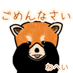 Wahei's lesser panda