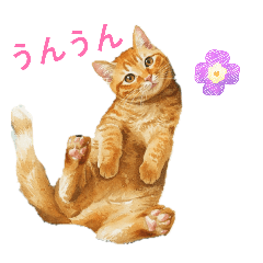 hamumaru_20260409072556