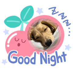 Totoro_20260408182701