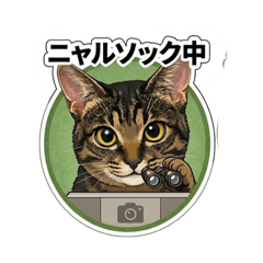 yoshii_20260409081148