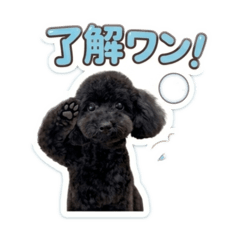 satoshi_20260408182934