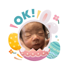 seiya_20260408210318