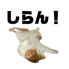 yu-uyu_20260408210321