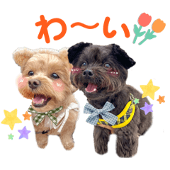 NEGISHI RIKAKO_20260408210106