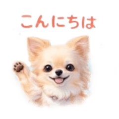 rinrin_20260408183637