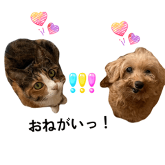 HARUmama_20260408210406