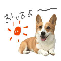 kinako_20260408234200