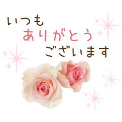 oimostar_20260408211210