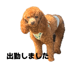 marbles0310_20260408234902