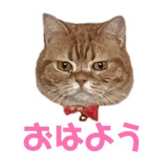 Himawari_20260408233838