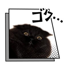 emaco_20260409032659