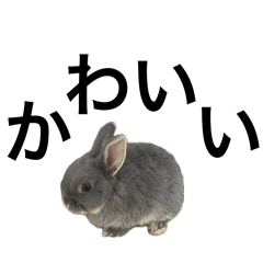 mokomithi_20260409054812