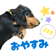 utinootsuna_20260409082725